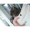 Женская модная вышитая одежда Pet Big Pocket Cat Ear Hooded Sweatshirt