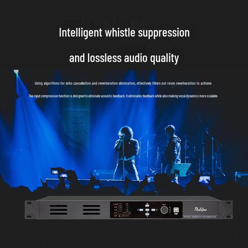 Runpu Professional Conference Audio Feedback Suppressor (CN version)