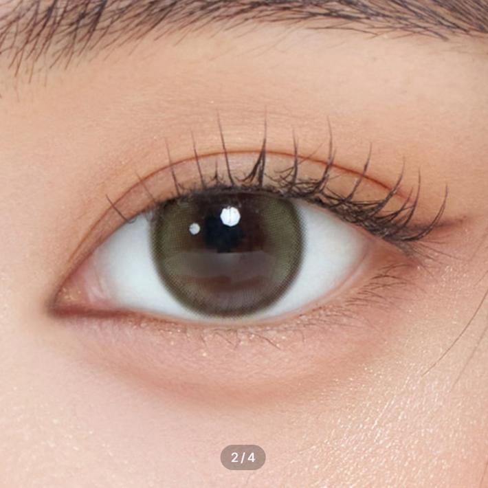 Demeter 13.5 Один день Оливково-зеленый