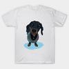 T Shirt Women Dapper Dachshund Harajuku Print Kawaii Tshirt Summer Short Sleeve Female T-Shirt Top Tee