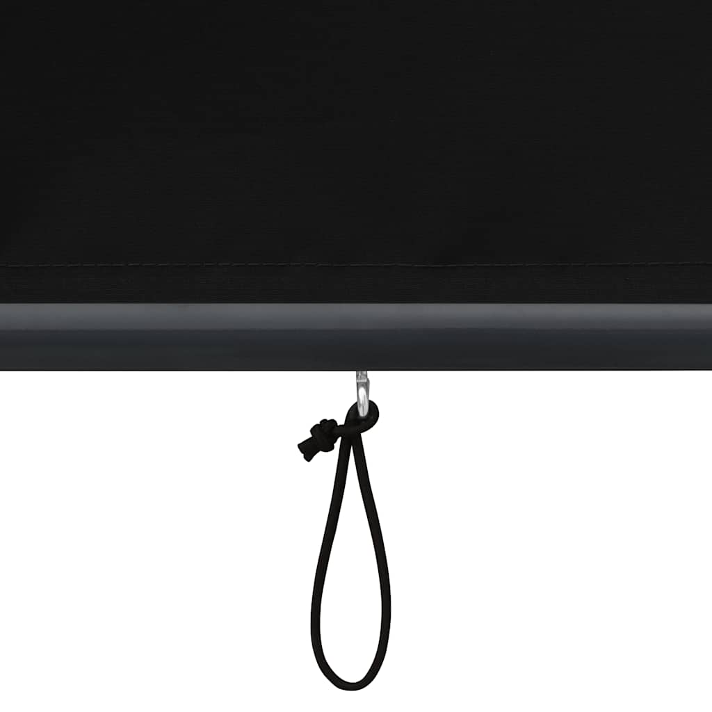 Outdoor Roller Blind 100 x 250 cm Anthracite