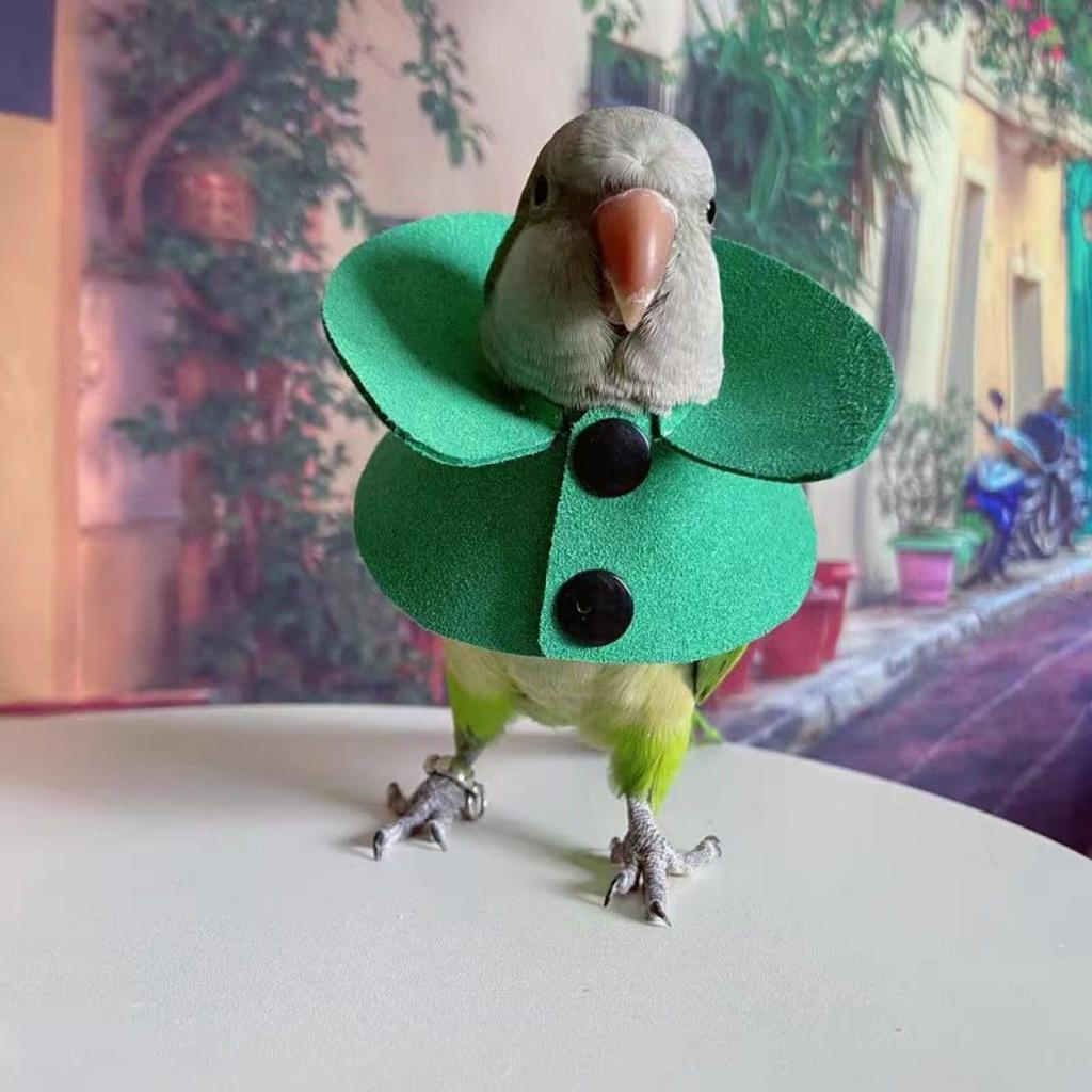 Pet Parrot Anti-bite Elizabethan Collars, Anti-Grab Feather Plucking Wound Healing Safety Recovery Collar Cones for Budgerigar Lovebird Conure