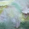 Pastel Assortment Rooster Feathers 20 Feathers 7cm