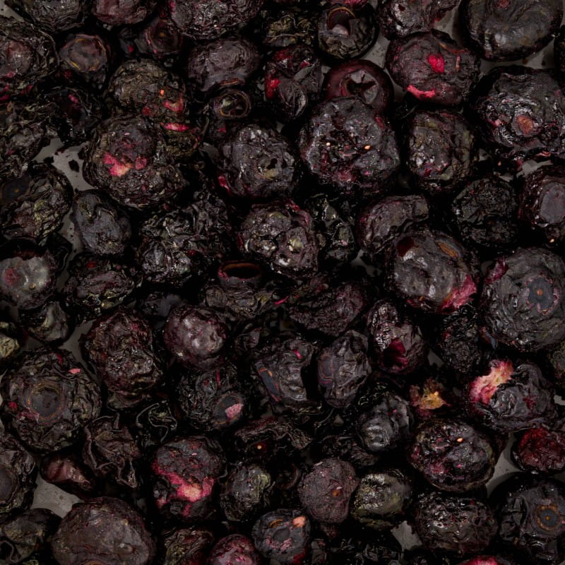 Powerki Vitapol - Borówka Liofilizowana 20 G - Naturalny Przysmak Dla Papug | 100% Owoc