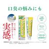 [Bulk Purchase] Clean Dental Bad Breath Care Toothpaste 100g X 2