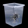 Plastic for Scorpion Spider Ants Insect Feeding Box Lizard Living Box Reptile Habitat Hatching Tank