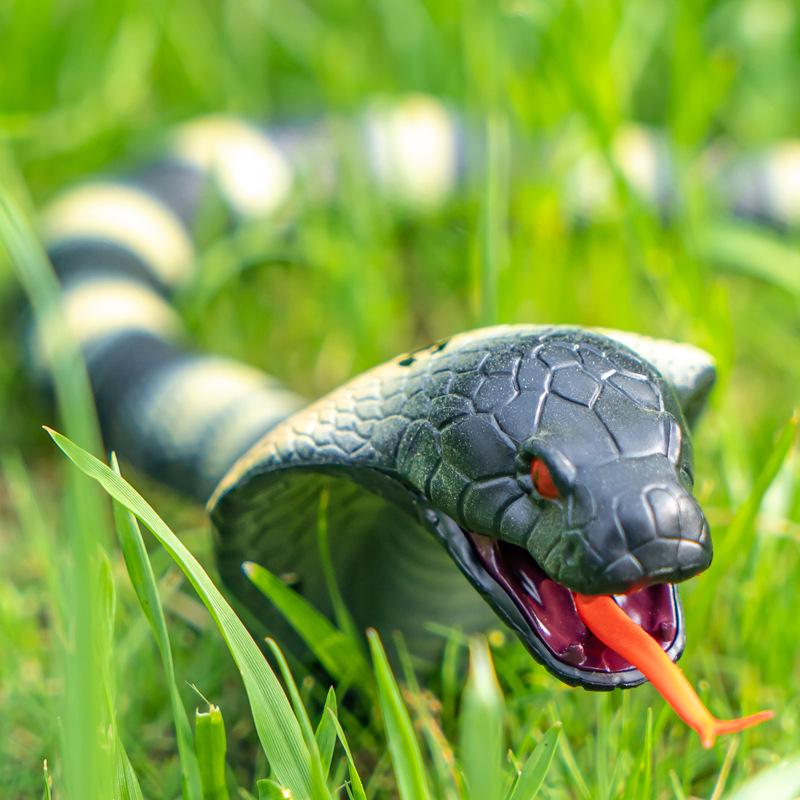 Новинка Игрушка Змея и Паук с Инфракрасным Пультом Управления