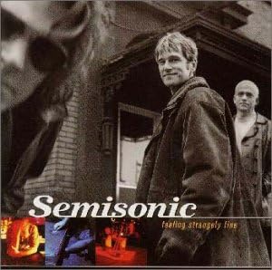 CD SEMISONIC - Feeling Strangely Fine MVCE24100PROMO MCA Records 1998 Japan Obi Rock Used