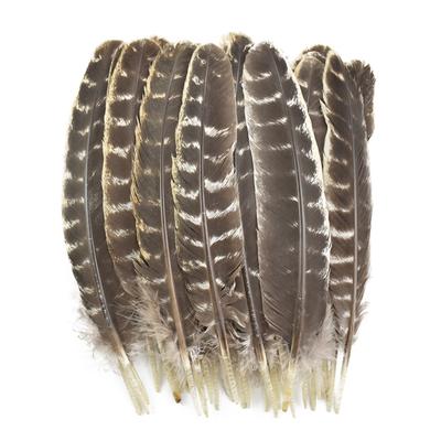 10 шт./лот Настоящие Натуральные Перья Индейки Орла Птицы Для Поделок Птичьи Плюмажи Декор Карнавальные Аксессуары Искусственные Украшения