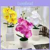 Potted Artificial Phalaenopsis Plant Silk Fabric Material Photography Props