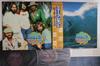 LP Record BEACH BOYS - Beach Boys ECS4019394 CAPITOL 1979 Japan Obi Rock Used