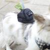 Multifunction Puppy Snack Reward Waist Bag Portable Dog Poop Dispenser  Puppy