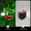 Aquarium Decoration Plant Cup Pot Acrylic Waterweed Cup with Suction Holder Mini Gardening Vase Red Worm Feeder For Fish Tank