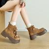 Vintage Chunky Platform Ankle Boots Women Autumn Winter Thick Sole Lace Up Boots Woman  Anti Slip Zipper Short Booties Mujer