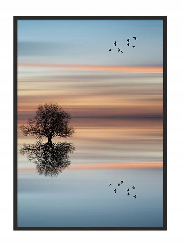 Picture poster In a frame 43x33 cm Tree P939