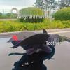 Toothless Dragon Roof Plush Toy & Helmet Decor