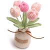 6PCS Crochet Flowers Handmade Knitting Tulip Artificial Woven Fake Flowers with Stems for Valentine's Home Wedding Party Office Tables Decoration