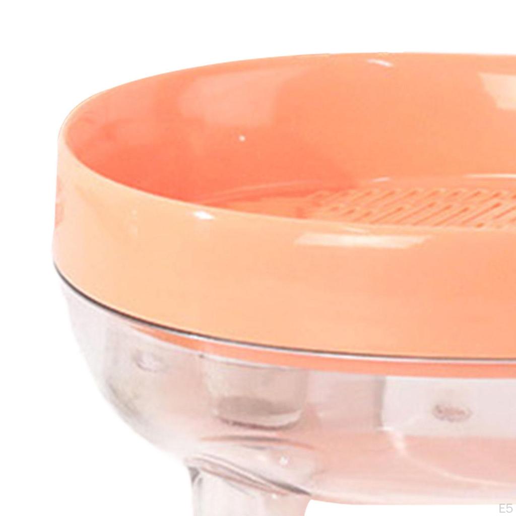 Cat Grass Box Seed Tray Easy To Plant Growing Planter Catnip Cultivation for