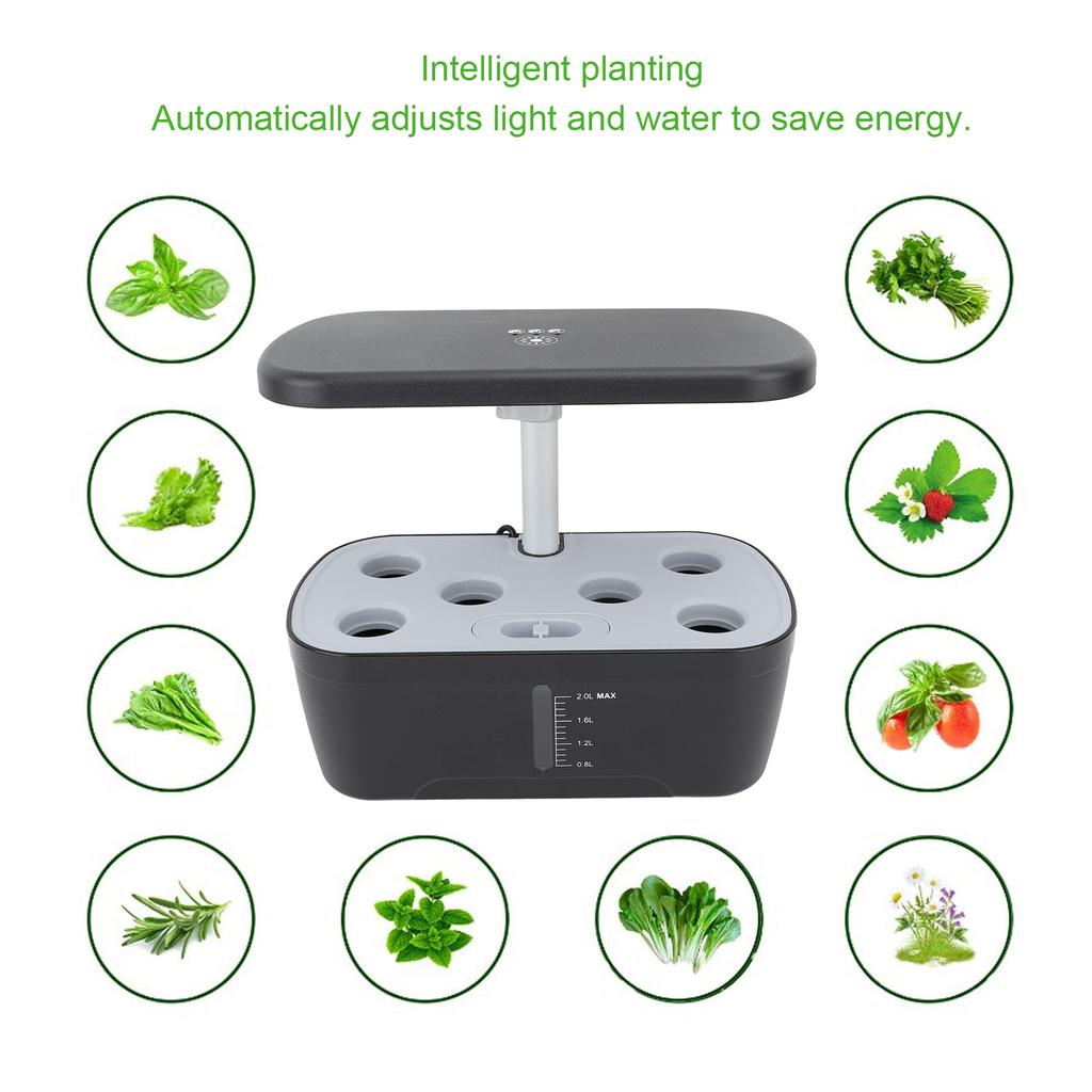 6 Pods Hydroponics Growing System Indoor Hydroponic Vegetable Grower Planter with Growth Light  100?240V