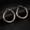 Punk Rock Minimalist 50mm Hoop Earrings Big Gold Alloy Thick Tube Round Circle
