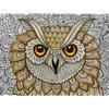 Алмазная картина Сова Алмазная вышивка Полный набор животных Стразы Картинки Ремесленный комплект
