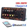 DIY Bluetooth усилитель D100 Вт Макс. 300 Вт 220 В/12 В/24 В Цифровой усилитель Поддержка двух микрофонов MP3-плеер для автомобиля Дома