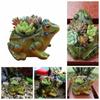 Breathable Frog Succulent Plant Pots Resin Plant Planter Art Potted Plants Frog Flower Pot  Garden