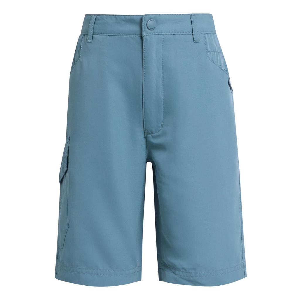 Regatta Childrens/Kids Sorcer II Shorts