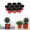 10 шт. садовых принадлежностей Мини Терракотовые Мягкие Пластиковые Вазы для цветов Поддоны для растений Круглые кашпо Детские горшки