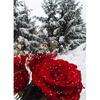 DIY 5D Алмазная картина Бабочка Цветок Полный круглый горный хрусталь Животное Мозаика Вышивка крестом