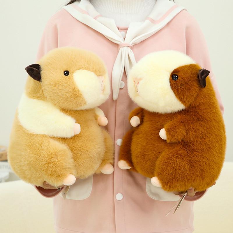 Плюшевая игрушка Морская свинка Сидящая кукла Кави Мягкая игрушка Мультяшный Дом Подарок Декор