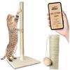 Scratching post P22J11