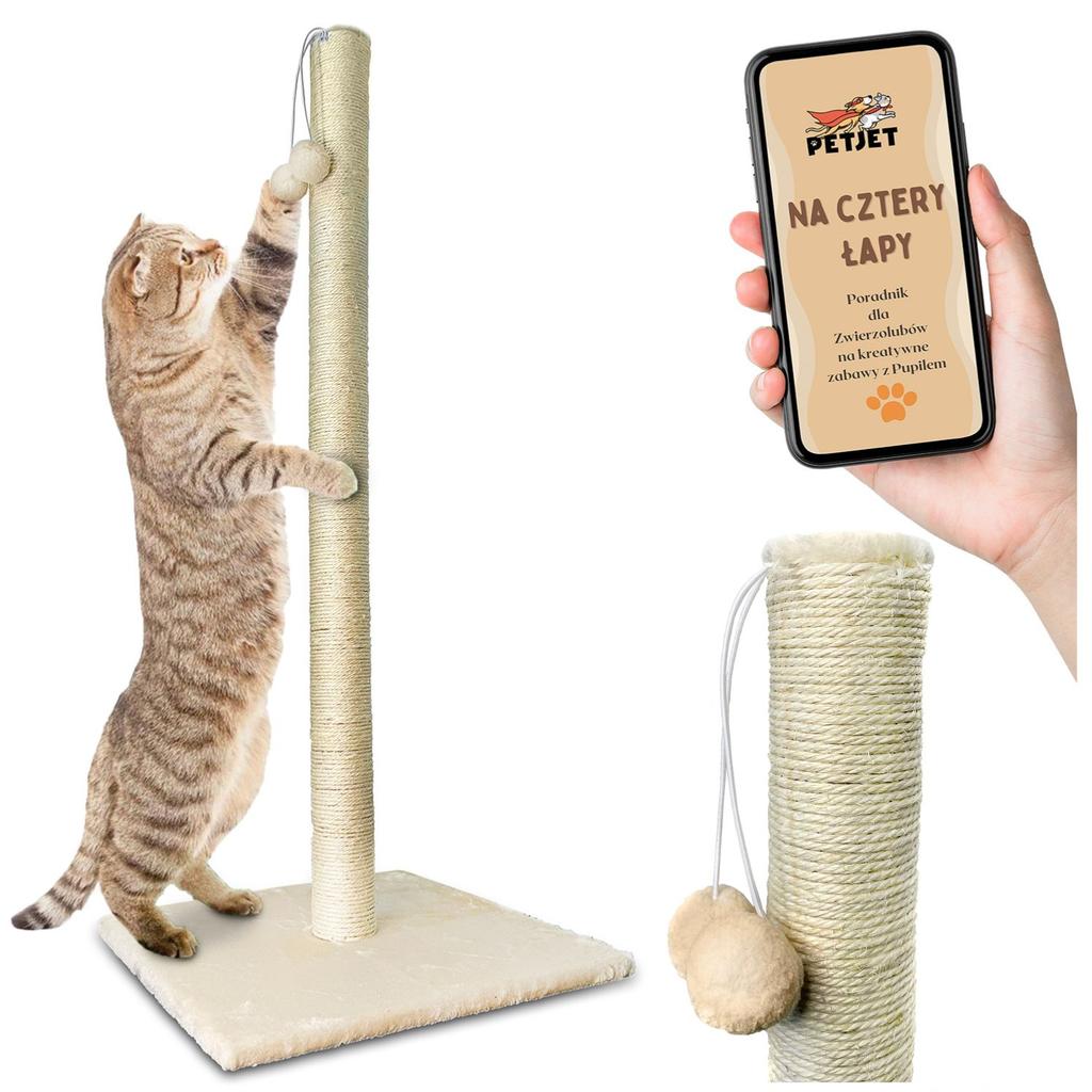 Scratching post P22J11