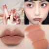 New Velvet Matte Mist Lip Glaze Waterproof Lipstick Moisturizing and Hydrating Lip Mud Natural White Brightening Lip Balm Lasting Set Women's Makeup