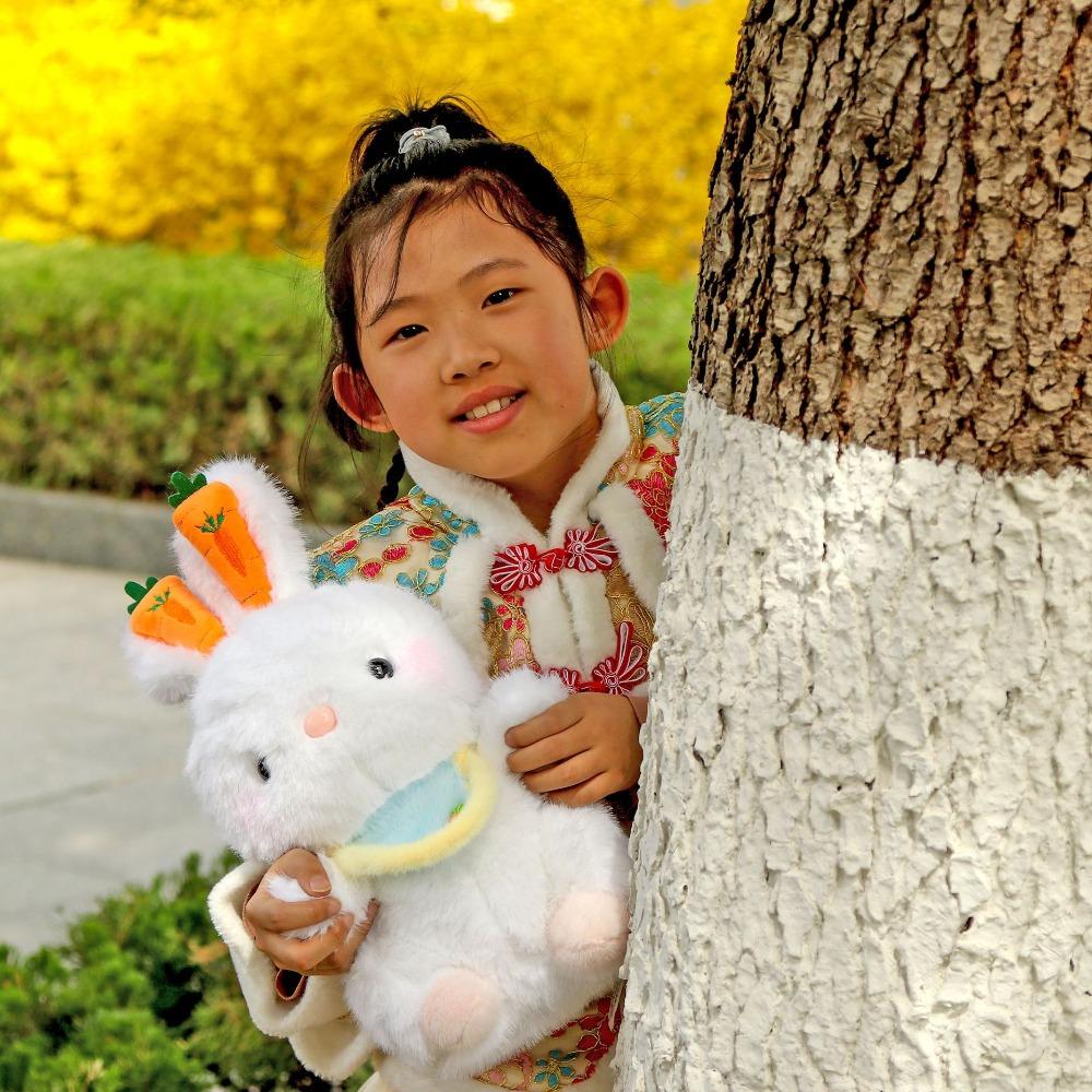 Kawaii Rabbit Plush Toy Soft Animal Stuffed Toys Kids Gifts Rabbit Plush Doll  Birthday Gift