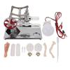 Stirling Engine Model Kit Early Educational Double Cylinder All Metal Wooden Base Stirling Engine