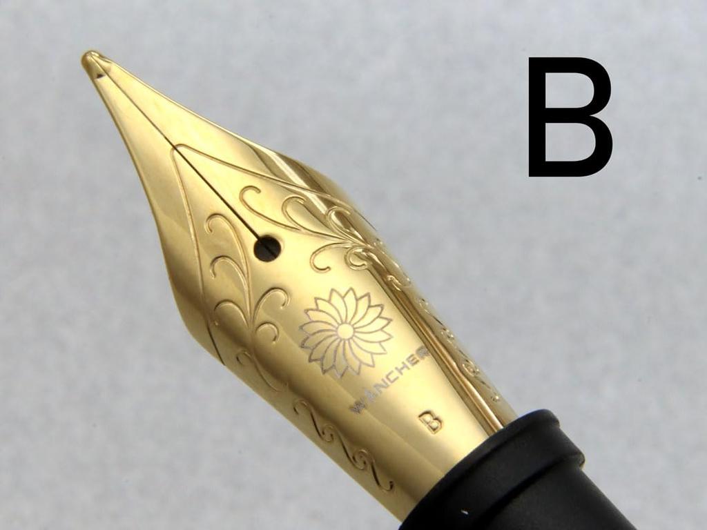 WANCHER Dream Fountain Pen DREAM PEN True Ebonite Marble Red Cigar Shape Fountain Bold [Wancher Pen] (B (Gold Plated))