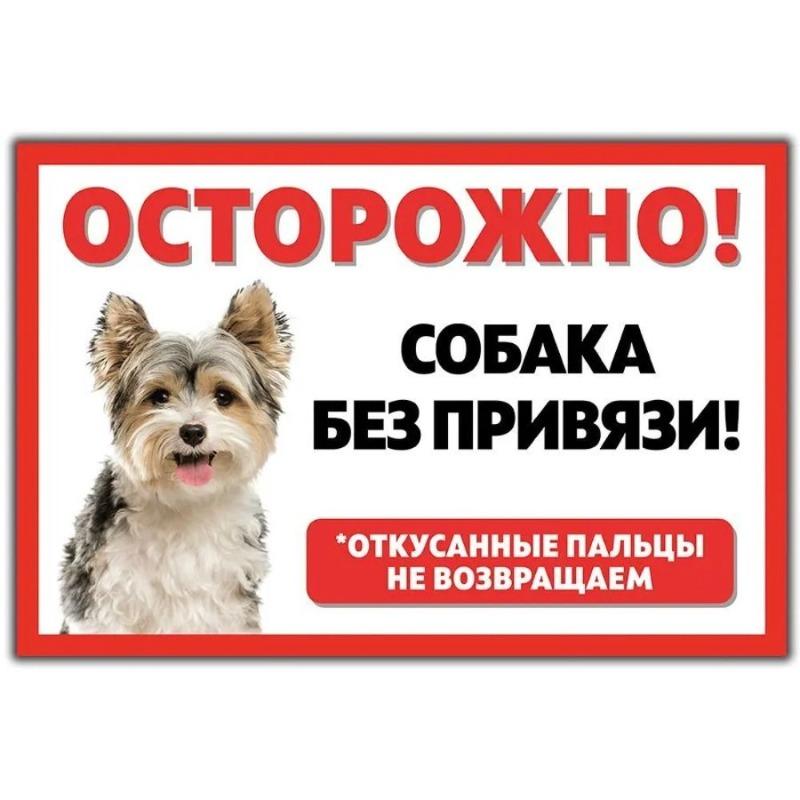 Смешная предупреждающая табличка о бродячей собаке, юмористическая табличка на забор