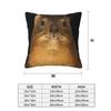 Rock Hyrax Photo Dassie Vampire Potato 2 pcs Square Pillowcase Pillow Cover Cushion Decor Comfort Throw Pillow for Home Bedroom