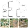 20/50/100Pcs Fruit Tree Branch Puller Tying Machine Farm Tool Plum Tree Open Angle Pull Branch Bending Tool Fruit Branch