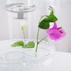 Прозрачная плавающая подставка для цветов, набор из 10 штук, гидропонная подставка-органайзер для стеблей для ваз, плавающий флористический аранжировщик для домашнего декора