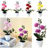 Small Ball Chrysanthemum Faux Chrysanthemum Flowerpotted Plastic Fake Flower  Home Decoration