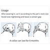 Pet Dog Anti Flea And Ticks Cats Collar Pet 8Month Protection Retractable Pet Collars For Puppy Cat Large Dogs Accessories