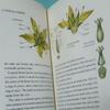 [USED] Books: From Flower to Fruit (botanical art, plant illustrations)
