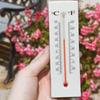 3-1pcs NEW Wall Hanging Thermometer with Box for Indoor Outdoor Home Garden Planting Humidity Temperature Meter Measurement Tool