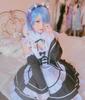 milky time ReZero Rem Maid Costume with Wig, Size L, Color Rem (Maid)