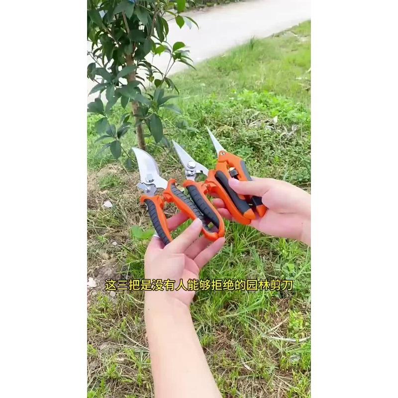 3pcs Multifunctional Stainless Scissors Pruner Garden Scissors for Gardening Flower Fruit Tree Manually Scissor Electrician Tool