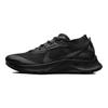 Pegasus Trail 3 GTX Triple черные женские кроссовки DC8794-001