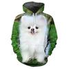Осенние животные милые собаки 3D принт толстовки мужчины женщины мода повседневные толстовки большие толстовки с капюшоном пуловеры спортивный костюм одежда
