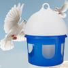 Large Capacity Automatic Bird Pigeon Feeder Water Dispenser Waterer 2L-6.5L Automatic Pigeon Waterer Bird Water Feeder